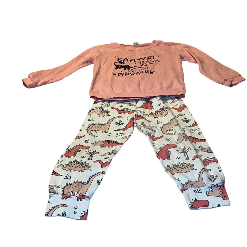 Kids Size 4T Pink Dinosaur 2 Piece Set With Matching Pants  RAWR I Love You